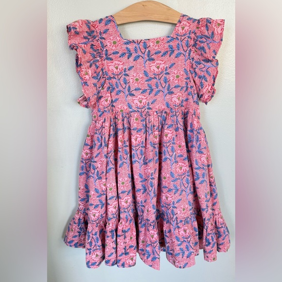 Pink Chicken NY 4Y Elsie Dress Ruffle Flutter Twirl Pink Blue Floral Ferns 4T - Picture 1 of 8